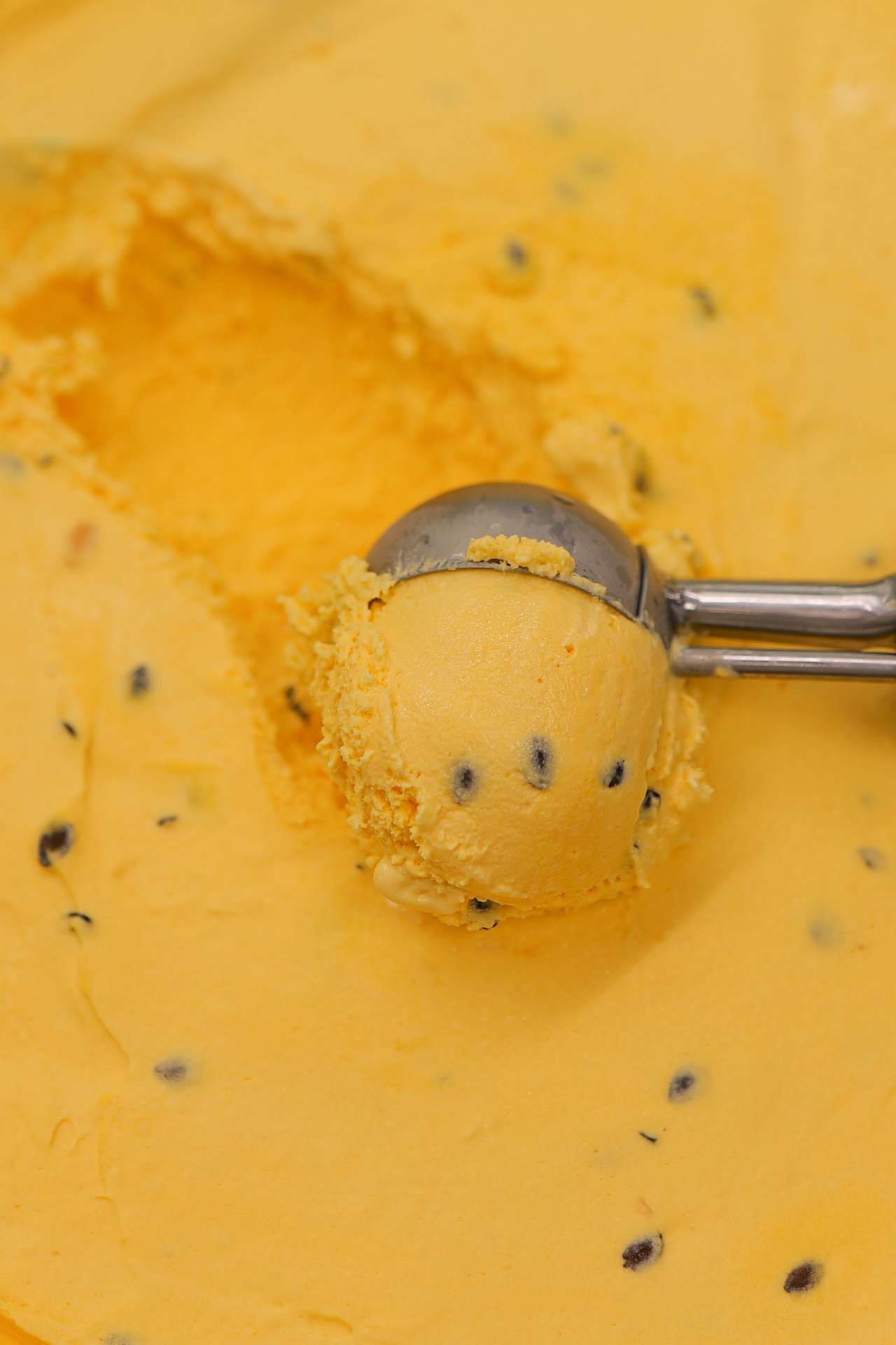 A scoop of yellow ice cream with chocolate chips