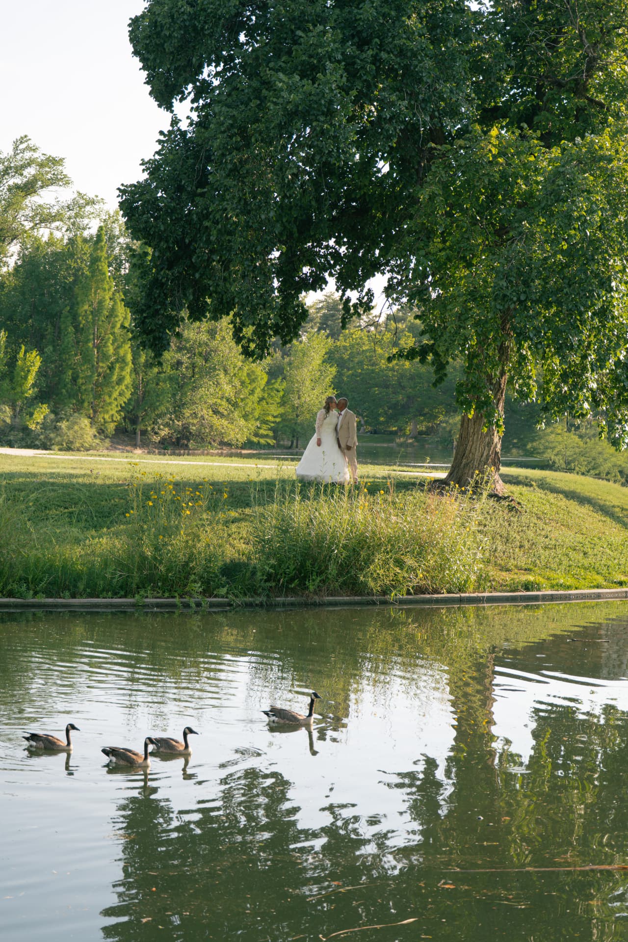 Bride and groom by a pond with geese in the foreground
